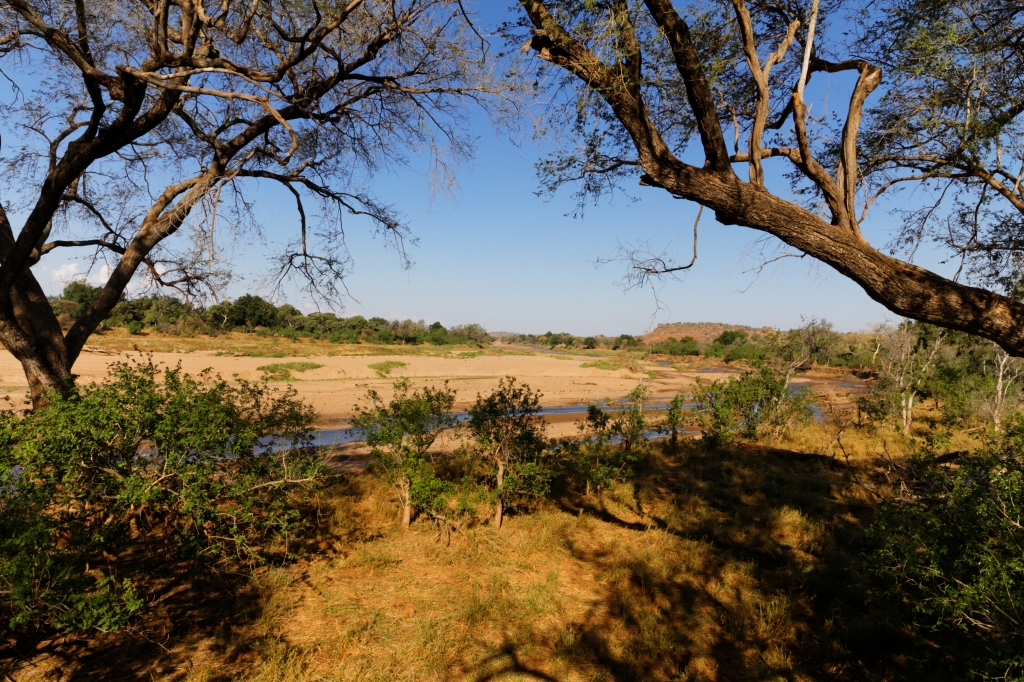 09 - Mapungubwe NP (7).jpg